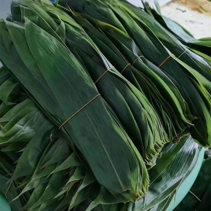 粽叶恩施粽叶批发