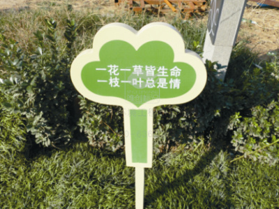 银川草丛牌批发  18309608588 