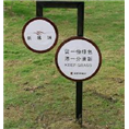 银川草丛牌批发  18309608588 