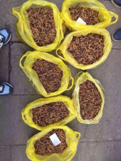 53度86年茅台酒值多少钱,回收茅台飞天53度价格
