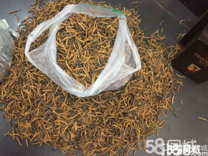 自贡烟酒回收成都回收茅台酒电话