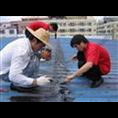 徐州哪家防水补漏质量好