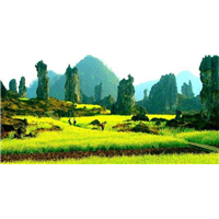 贵阳旅游包车电话