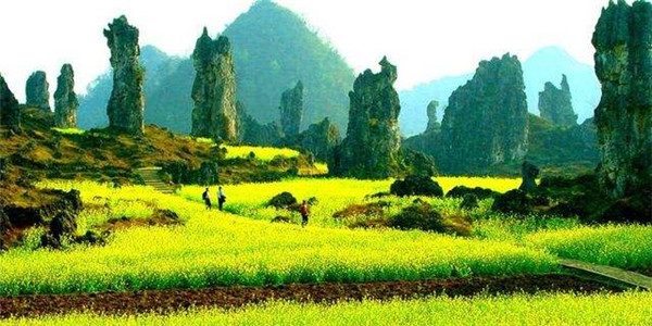 贵阳旅游包车电话