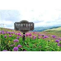 贵州荔波机场旅游包车接机一次价格要多少