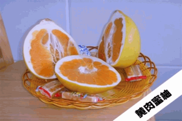 惠州黄金蜜柚苗，惠州蜜柚苗，惠州果苗 