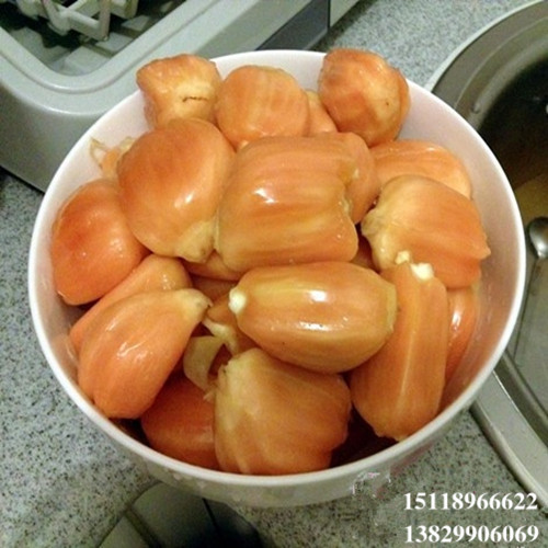 淡水红肉菠萝蜜苗，淡水菠萝蜜苗，淡水果苗场 
