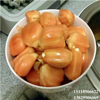 淡水红肉菠萝蜜苗，淡水菠萝蜜苗，淡水果苗场 