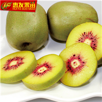 增城奇异果苗，广州奇异果苗，广州果苗 