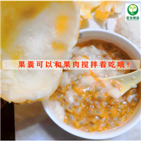 供应香蜜百香果苗