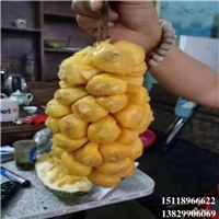 大亚湾榴莲菠萝蜜苗，大亚湾菠萝蜜苗，大亚湾果树苗 