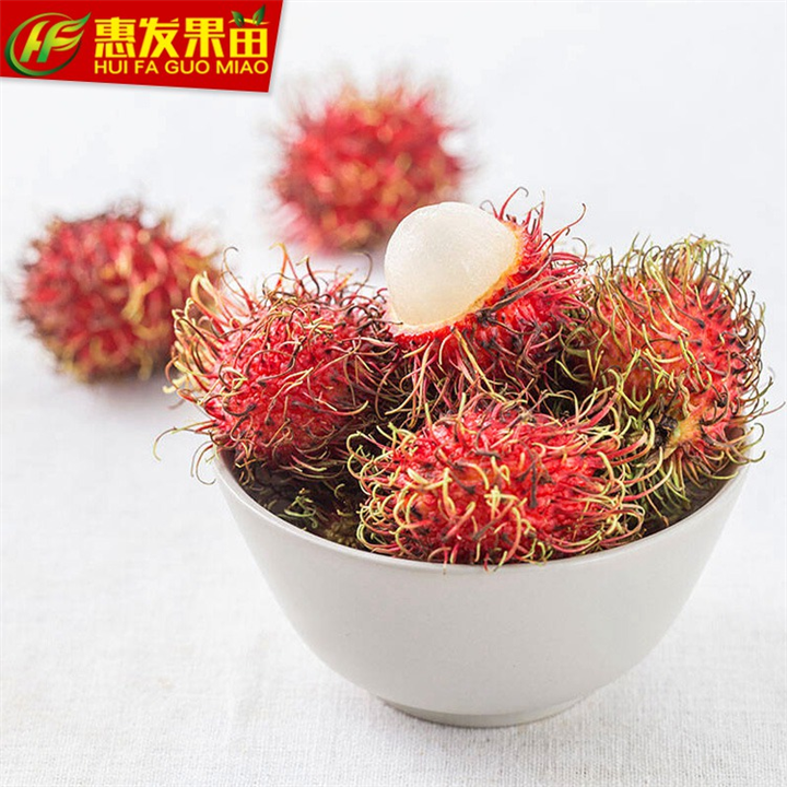 惠州果苗，淡水果苗，广东红毛丹荔枝苗 