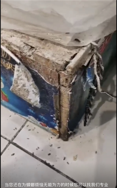 滁州酒吧灭蟑螂灭鼠灭虫电话是多少