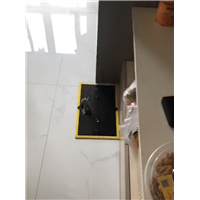 滁州健身房杀蟑螂公司电话是多少