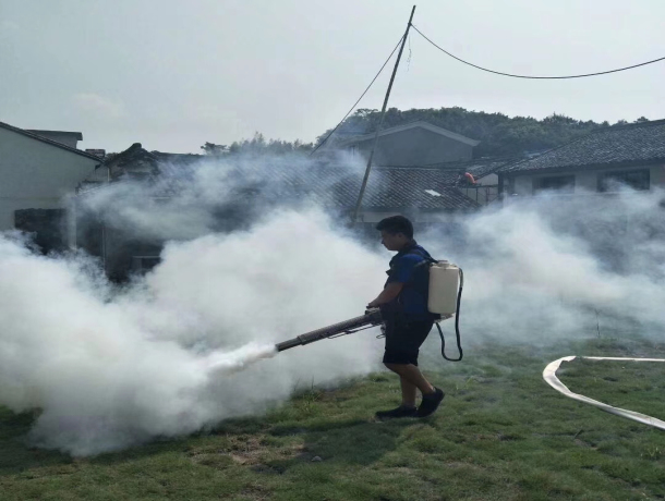 滁州咖啡馆灭鼠公司哪家服务好