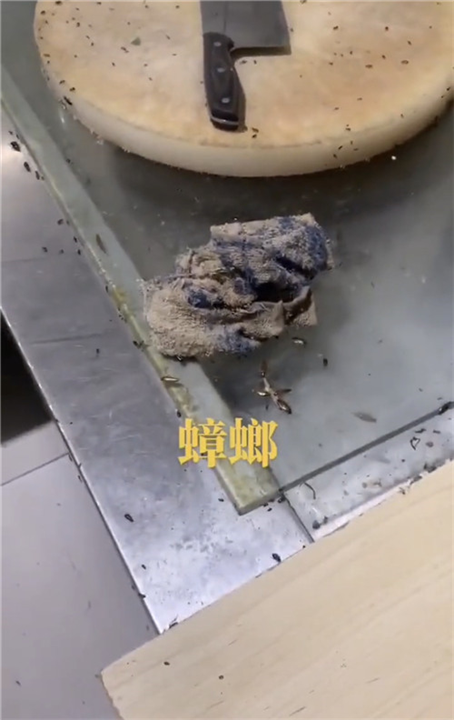 滁州天长商店杀虫杀白蚁杀蟑螂电话是多少