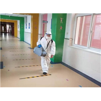 滁州理发店灭蟑螂灭鼠灭虫服务找谁