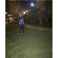 滁州旅馆灭鼠灭虫灭白蚁价格多少钱