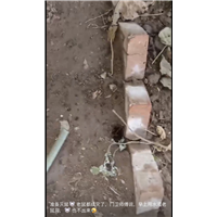 滁州办公楼杀鼠杀虫杀白蚁服务电话是多少