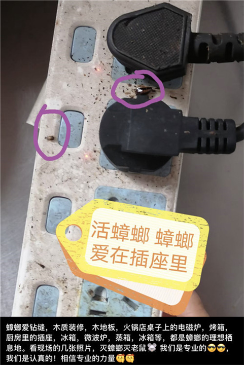 滁州南谯疗养院消杀服务一次要多少钱
