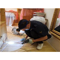 永康灭白蚁