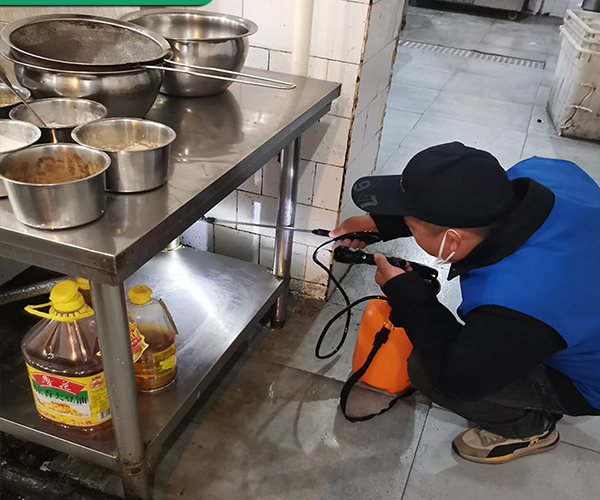 永康专业灭鼠公司