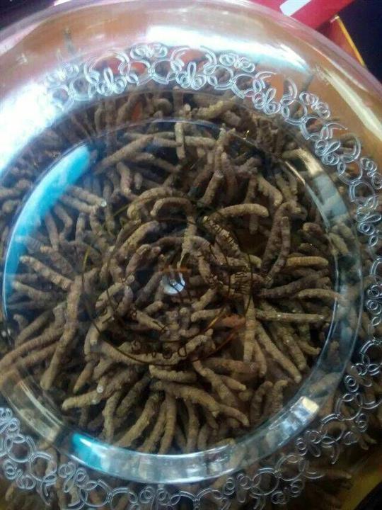 郑州回收烟酒！郑州冬虫夏草回收 