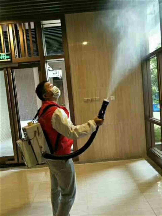 六安灭小强消杀蟑螂
