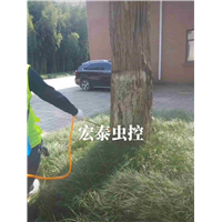 六安灭老鼠消杀公司服务号码多少