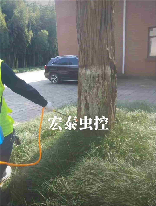 六安灭老鼠消杀公司服务号码多少