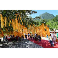 神农架包车预定电话-神农架旅游咨询@15272275577 