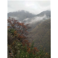 神农架旅游-神农架秋景-金泉网-官网首页 