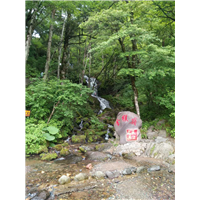 ★神农架各景区包车-15272275577★（司机兼导游） 