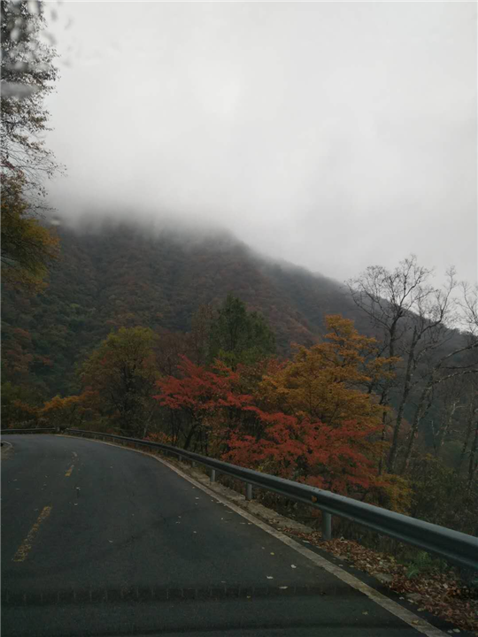 神农架旅游包车 