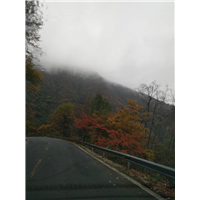 神农架旅游包车 