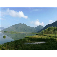 @大九湖包车旅游#大九湖旅游包车电话15272275577# 