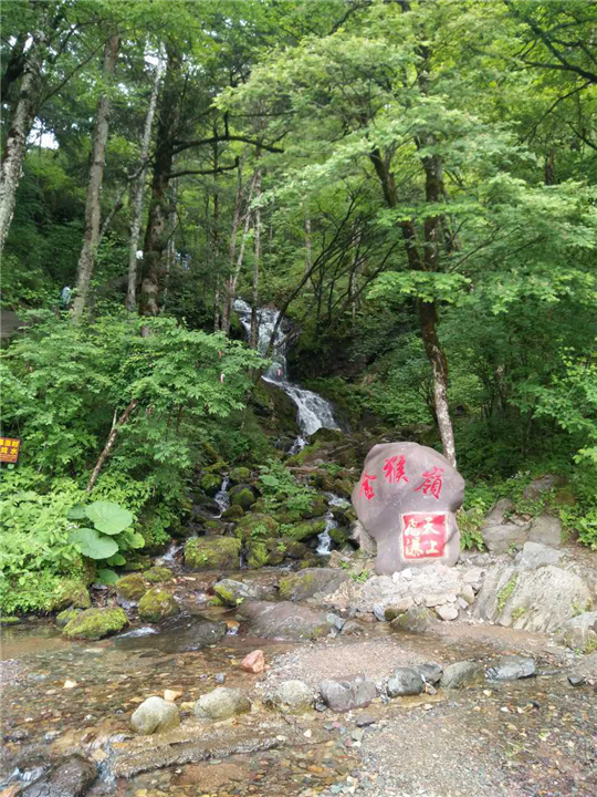 ★神农架各景区包车-15272275577★（司机兼导游） 