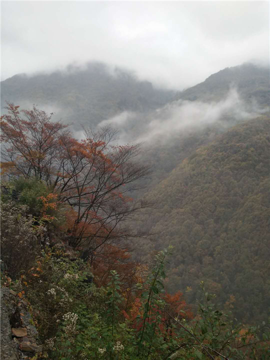 神农架旅游-神农架秋景-金泉网-官网首页 