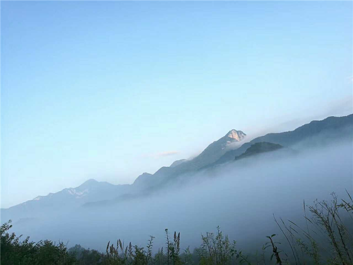 神农顶风景区是**自然保护区15272275577神农顶旅游包车 