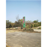 北京大岭园艺果树基地 