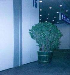 变形缝安装实物图