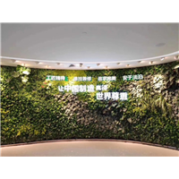 贵州贵阳植物墙 