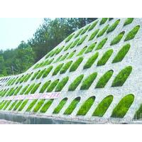 挡墙护坡立体绿化 