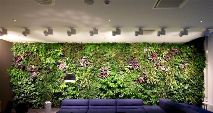 植物背景墙