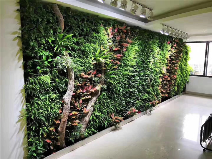 植物墙的生态价值 