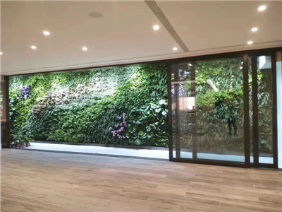 贵阳植物墙 