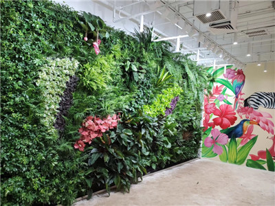 植物墙的三宜三忌
