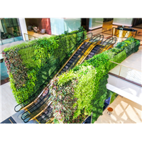 植物墙高端设计及施工一体化技术流程 
