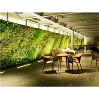 酒店 餐厅植物墙 