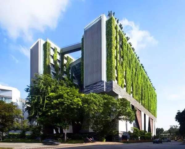 贵阳立面墙体植物墙 